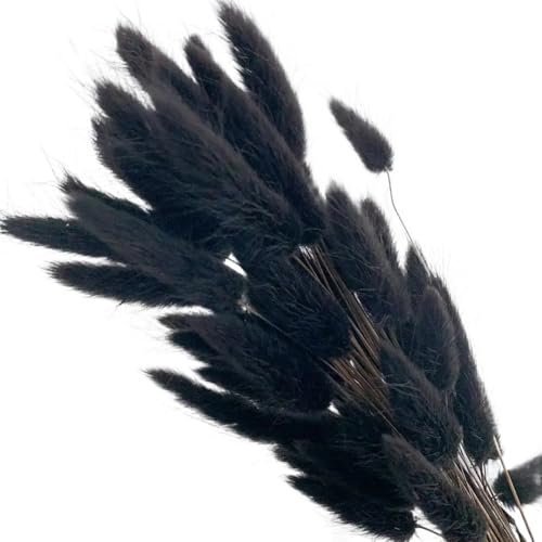 WANGSHAOWEI Pampasgras Deko Natur Hase Kaninchen Schwanz Gras getrocknete Blume Hochzeit Bouquet for Weihnachten Foto Requisiten Dekoration Trockenblumen(Noir,100pcs)