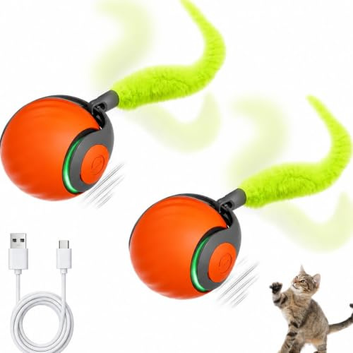 2PCS Juguetes Interactivo Pelota para Gatos,2 Modos Inteligentes Rodante | Speedy Tail,Ball con Cola de plumas,Recargable,Brinquedo Gato,Juguete Automático para Gatos de Interior, Gatos Activos