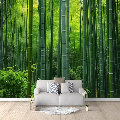 Fotomurales Decorativos Pared Bambú Verde 200x140 cm Papel Pintado Tejido No Tejido Bosque de Bambú Fotomural 3D Mural Paredes Papel Tapiz Decoración Salón o Dormitorio a.1922
