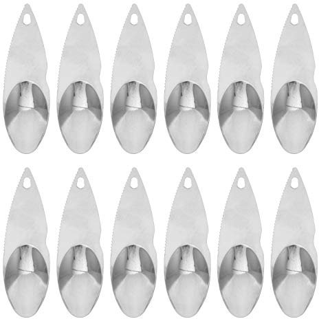 Yardwe Couteau À Kiwi en Acier Inoxydable Cuillère À Creuser Le Kiwi Couteau À Kiwi 12Pcs / Pack