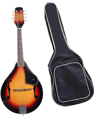 Mandoline Cordes Instrument Instrument De Musique Mandoline Avec Sac De Mandoline Pour Débutants Pratique De La Performance En Concert