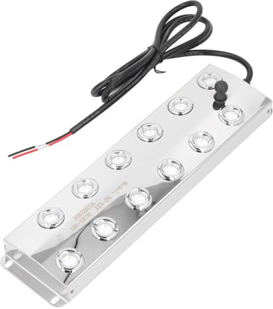 Brumisateur à Ultrasons 1.7MHz, Machine de Brumisation avec 12 Têtes en Acier Inoxydable, Générateur de Brouillard Étanche IP67 pour Jardin Extérieur et Intérieur