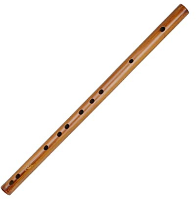 Vaguelly Praktisches Piccolo mit Spiegelpolitur und Kleinem Volumen Inklusive Aufbewahrungsbeutel für Anfänger und Traditionelle Musik