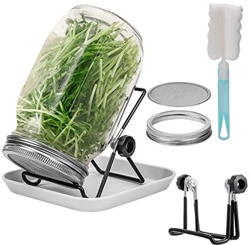 Lulonpon One Sprouting Jar Kit, Wide Mouth Quart Mason Jars with Stainless Steel Screen Sprout Lids, 86mm,1000ml,Stand,Tray and Canning Brush,Seed Sprouter Set for Growing Broccoli, Alfalfa, Mung Bean