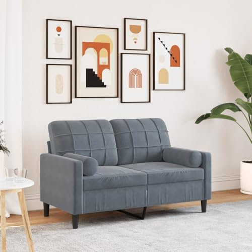 Homgoday 2-Sitzer-Sofa mit Zierkissen Loungesofa Polstersofa Doppelsofa Wohnzimmersofa Gästesofa Sofa Couch Modern Sitzmöbel für Wohnzimmer Empfang Büro Dunkelgrau 120 cm Samt