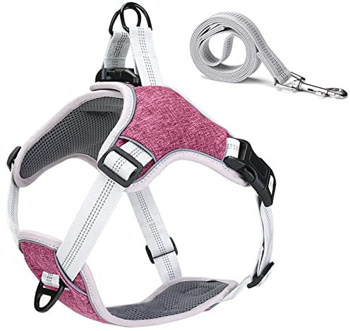 No-Pull Hundegeschirr Und Leine Set Für Kleine, Mittelgroße, Große Hunde,Weich Atmungsaktiv Einstellbar Reflektierend Hundegeschirr Brustgeschirr Geschirr Anti Zug,Lila,L