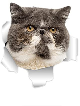 PBHYDK 2 Stücke Nette 3D Katze Wandaufkleber Zimmer Auto Körper Aufkleber Laptop Koffer LKW Zubehör Auto Aufkleber 20 cm Lustige Auto Aufkleber Bedruckte Auto Aufkleber