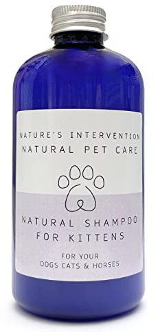 NATURE'S INTERVENTION Kätzchen-Shampoo – Aloe Vera & Lavendel – 99% Natürliches Sanftes Reinigungs-Konzentrat – Für Kitten ab 8 Wochen & Sensible Katzen – Artisan Qualität – 250ml