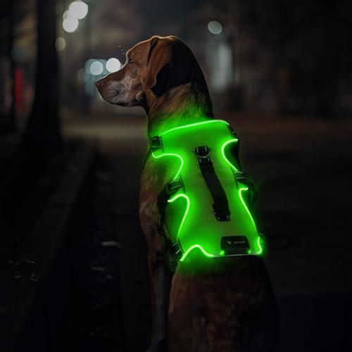 Jewyow Hundegeschirr Leuchtend, Wiederaufladbare LED Hundegeschirr | Led Geschirr für Hunde mit Weicher Griff, 3 Einstellbare Modus, Wasserdicht für Mittelgroße, Große Hund, Green-M