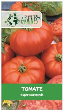 20 graines de tomate marmande VR, variété ancienne résistante, gros fruits charnus et précoces