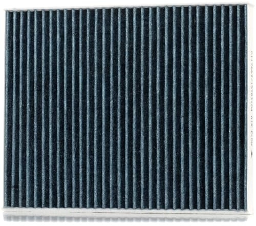 STARK Innenraumfilter Aktivkohle, mit antiallergischer Wirkung, mit antibakterieller Wirkung, Feinstaubfilter (PM 2.5) SKIF-0170507