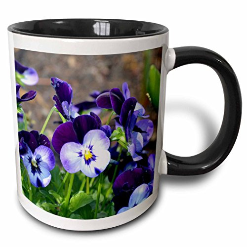 Ceramic Mug Colorful Tea Mug Personalised Travel Mug Novelty Gift for Office Sister Valentine's Day 330 Ml A Batch of Purple Pansies