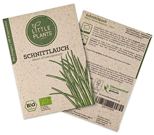 Little Plants BIO Schnittlauch Samen, 500 Schnittlauchsamen, hohe Keimrate, 100% Natürlich, BIO Samen Schnittlauch Staro für Kräutergarten Küchenkräuter Hochbeet – BIO Kräutersamen Nachhaltig