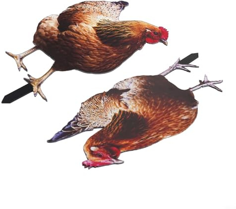 Pumixiy Decorazione per gallina da giardino in inglese, arte acrilica per cortile e prato, statua da giardino per esterni per casa colonica e patio (A+B)