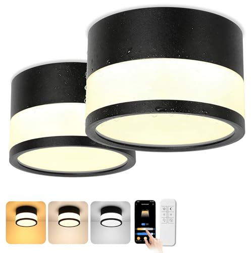 LED Aufbauspot Dimmbar IP65 Deckenleuchte Aufputz mit Fernbedienung APP | 12W, Deckenspots Weiß 2700K-6500K, Aluminium, Aufbaustrahler Flach, Rund Deckenlampe, Badezimmer Lampe, Ø10,9cm, 2 Stück