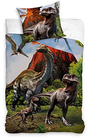 Familando Dinosaurier Bettwäsche für Jungen 135x200 80x80 cm · Dino Bettwäsche mit Reißverschluss Kinderbettwäsche aus 100% Baumwolle · mit T-Rex und Muster auf Rückseite (Mehrfarbig)
