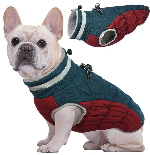 Kuoser Hundemantel Winter für Kleine Hunde Jacke Wasserdicht Winddicht, XS | Warme Hundejacke mit Fleecefutter Reflektoren Reißverschluss und D-Ring, Outdoor Wintermantel Welpen Hund Hundebekleidung