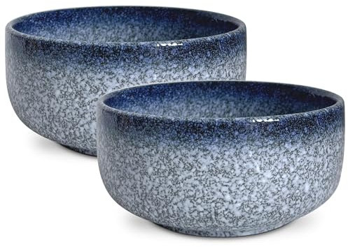 Lot de 2 grands bols à céréales en porcelaine - 950 ml - En céramique - Pour la cuisine - Bols de service - Bols à céréales - Bols à soupe - Salade - Bol à pâtes