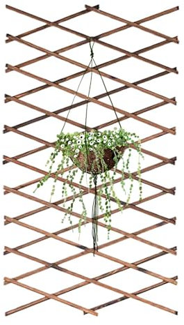 Treillis de jardin en bois - Tonnelle de jardin en bois - Panneaux de en treillis - Extensible - Support de en osier - Support pour - Vin et légumes
