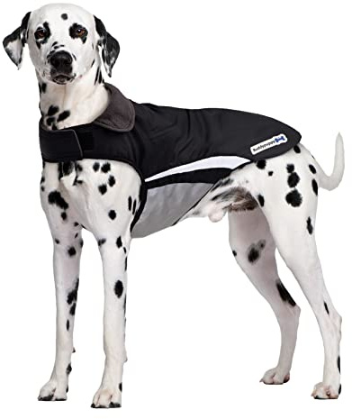 Buddypuppy Hundemantel Winter, Regenmantel Hund Wasserdicht, Fleece Hundejacke für Mittel Grosse Hund mit Geschirrloch & Reflexstreifen