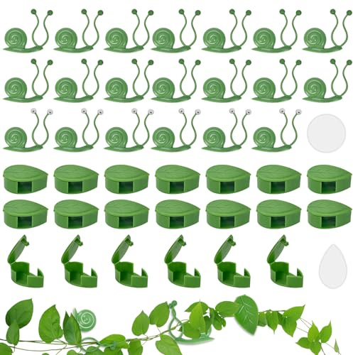 CiShow 40 STK Pflanzenclips für Kletterpflanzen, Pflanzen Plant Clips Wand, Pflanzenklammern Selbstklebend, Pflanzenwand Kletterpflanzen, Wandbefestigung für Pflanzen Sicherung Unterstützt (Grün)
