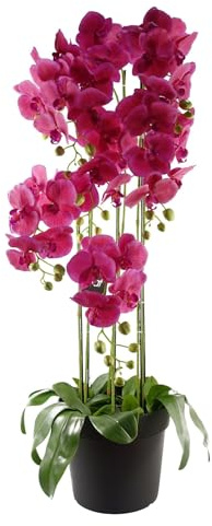 Botanik Realistic Artificial Orchid Plants Fully Potted