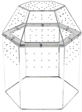 JISADER Terrarium für Reptilien, Springspinnen, Gehege für Geckos, Bartagamen, Leguane