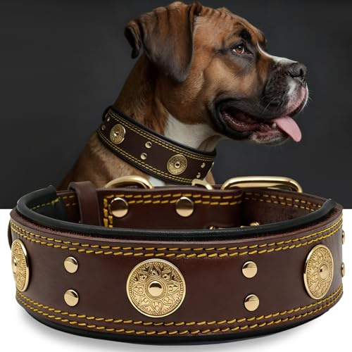 Hundehalsband Leder 5 cm Breites,Handgefertigt Weich und Luxuriös,BN-GD M | Robustes Echtes Lederhalsband, Auffällige Beste Wahl für Große und Mittelgroße Hunderassen, 50-60 cm