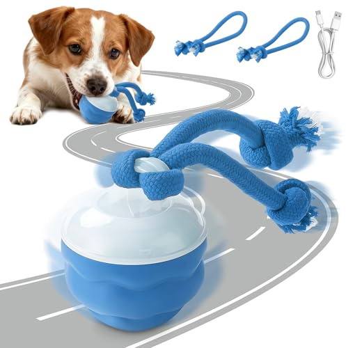 AMFUN Juguete Interactivo para Perros y Gatos, Pelota de Juguete Interactiva 360°, Bola de Rodadura Automática Inteligente, con Dos Cuerdas para Masticar, 3 Modos de Velocidad Ajustables (Azul)