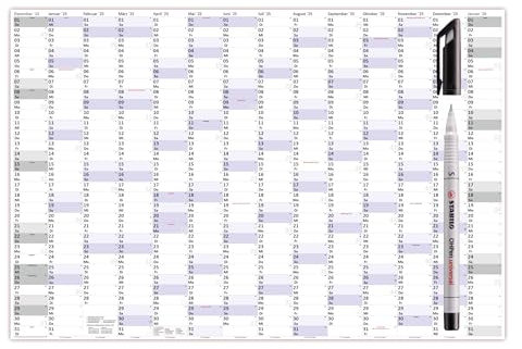 XXXL Wandkalender Special A0 2025 nass abwischbar + Folienstift (Format 120 x 80cm) Jahresplaner Wandplaner gerollt mit extra großen Tageskästchen zur optimalen Verwendung