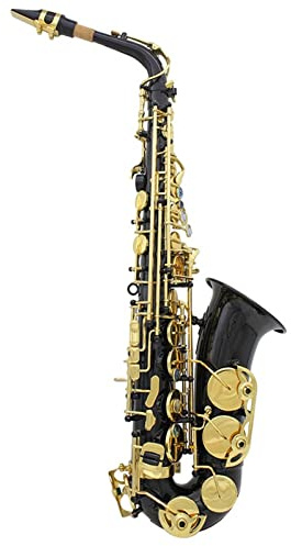 Altsaxophon EB E Flach Messing Lackiert Gold Schwarz Sax Mit Den Fallhandschuhen Reinigung Tuch Holzwind Saxophon Anfänger Kit