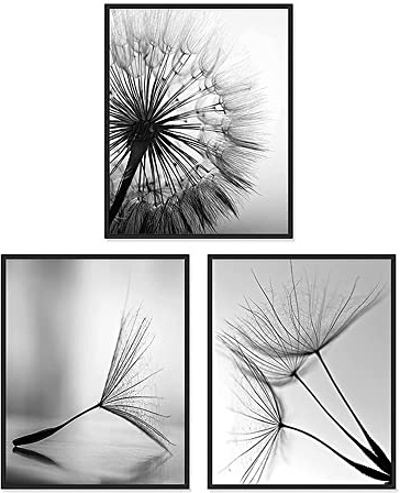 FSLEOVN 3er Set Premium Poster Schwarz und weiß Pusteblume Bilder Ohne Rahmen Löwenzahn Wandposter Modern Fine Art Print Bilder (40x60cm)