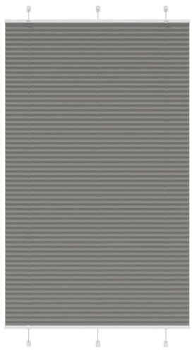 vidaXL Plissee Anthrazit 120x200 cm Stoffbreite 119,4 cm Polyester, Faltrollo, Klemmfix, Plisseerollo, Jalousie, Rollo, Plisseerollo für Fenster