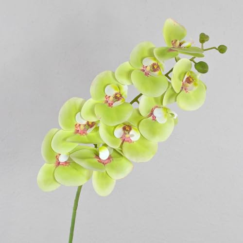 artplants.de Ramo di phalaenopsis Artificiale Ophelia, Verde-Rosa, 100cm