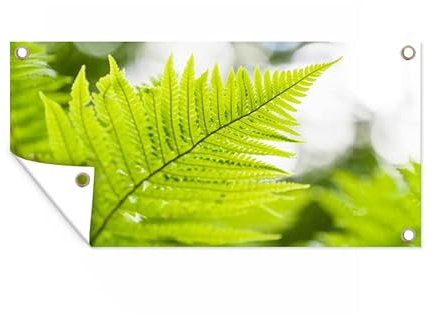 MuchoWow Outdoor-Poster Poster Wanddeko draußen Deko Garten Gartenposter 80x40 cm Blatt eines Farns vor einem verblassten Hintergrund