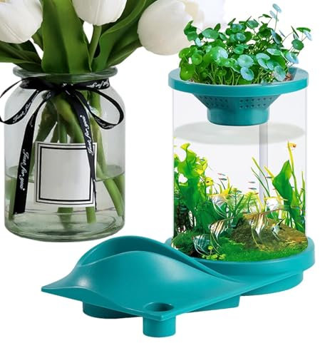 Petit aquarium Betta translucide avec système de filtre | Aquarium autosuffisant avec écosystème aquaponique pour poissonnerie, maison, lieu de travail, appartement