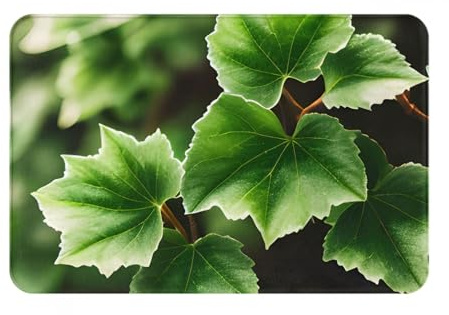 Paillasson ultra fin avec motif arbre de lierre parfait pour porte d'entrée, porte arrière, terrasse et entrée