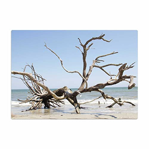 Vero Home 18460 Glas-Schneidebrett | Motiv Natur Strand-Baum | rutschfest, kratzfest und lebensmittelecht | Maße: 39 x 29 cm