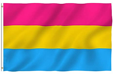 Meindin LGBT Pan Pide Gratuit - Drapeau Pansexuel Couleurs Vives Anti-Fading Outdoor - Banderoles Multicolores pour Les Décorations de Noël d'Ouverture de Fête