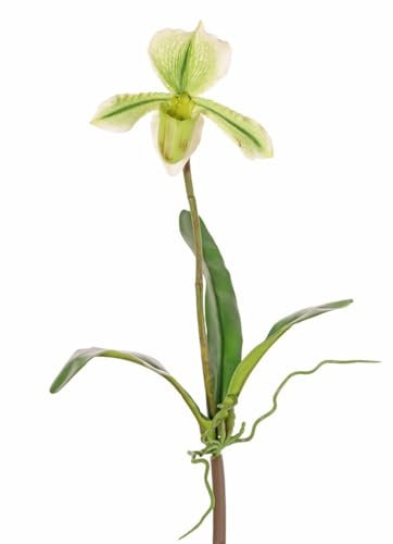 artplants.de Künstliche Paphiopedilum Orchidee VELANA, Steckstab, grün-weiß, 40cm - Kunst Orchidee