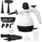 GLOIL Pulitore a vapore portatile, pulitore a vapore domestico, pulitore a vapore multiuso con 10 accessori per tappeti, tende, divani, cucine, bagni e molto altro ancora.