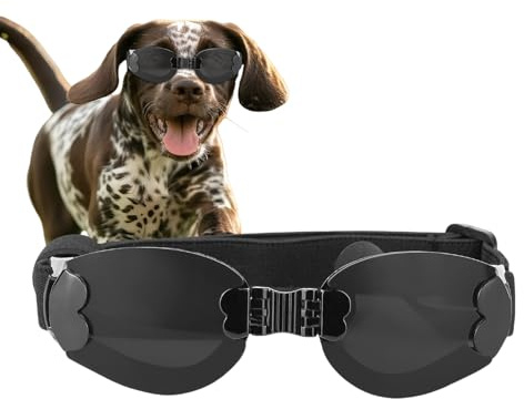 Hundeschutzbrille Für Mittelgroße Hunde - Welpen Sonnenbrille - Mit UV Schutz Und Verstellbarem Gurt Für Bergwanderungen