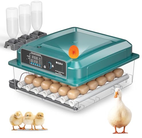 36 Eier Brutautomat Vollautomatisch, Inkubator, Mit Automatischem Eierwenden & Wasserzugabe & Temperaturregelung, Verstellbares Eierfach, Eingebaute Eierbeleuchtungsfunktion, Vier Brutmodi (A)