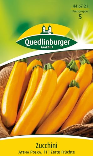 Zuccini 'Atena Polka F1' Gemüsesamen Quedlinburger
