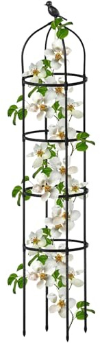 Weldphur Tutores para Plantas en Maceta - Metal 1.74 M para - Soporte Ajustable para Enredaderas de Jardín Pepino Rosal Jazmín Viña y Pérgolas
