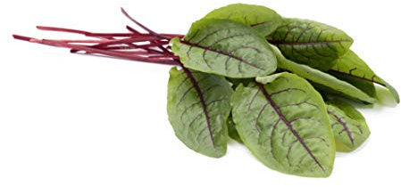 Sorrel Red Veined Seeds - Heirloom