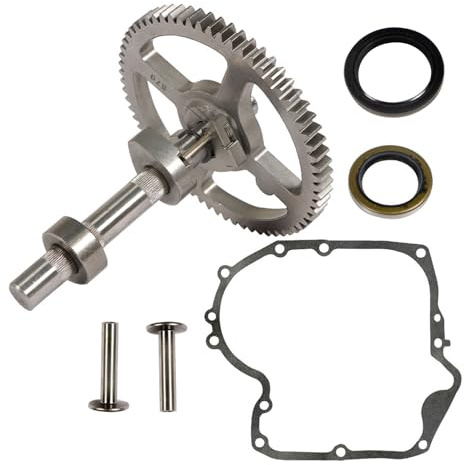 Apriciter 791942 793880 Sostituzione Kit Albero a Camme per Briggs Stratton 84005207 793583 con 795387 690947 499145 Paraolio 697110 Guarnizione Carter
