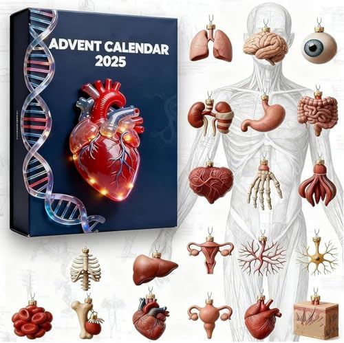 Calendario de Adviento de anatomía 2025, 24 días de sorpresas de órganos, calendario de Adviento de ciencia con adornos de partes del cuerpo humano para estudiantes de medicina, profesores