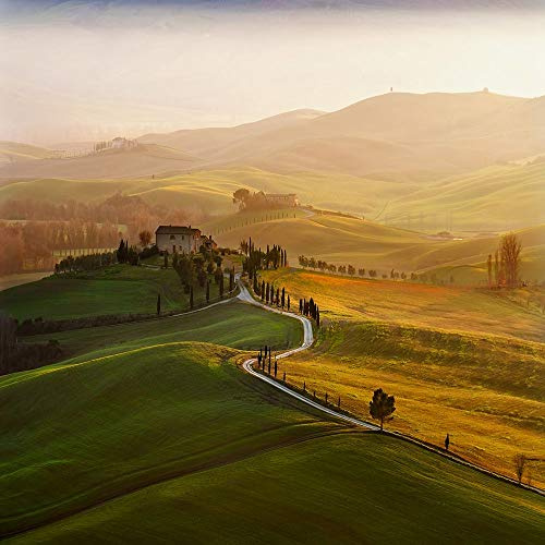 ART-TELA-allungata-su-LEGNO -BARS Val dOrcia Pawlak Jarek - Immagine quadrata paesaggio TOSCANA ITALIA PIENZA TOSCANA VAL D ORCIA FAMOUS LAN Stampa d'arte 25_X_25_in