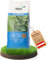 Hesa Schattenrasen RSM 7.4, 5kg für ca 250 m², Premium Rasensamen, Zierrasen für Schatten, Halbschatten und auch Vollsonne, Grassamen in Profiqualität